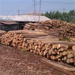 淮安杉木桩出售 胜洁木业 江苏杉木桩施工