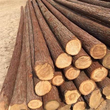 常州杉木桩 景观杉木桩出售 胜洁木业