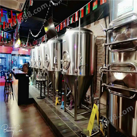 盐城酒吧300升原浆啤酒生产设备商