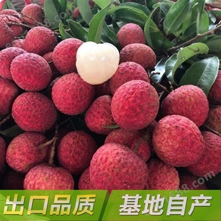 速冻荔枝 新鲜当季美味冷冻水果 多规格可选 厂家直发
