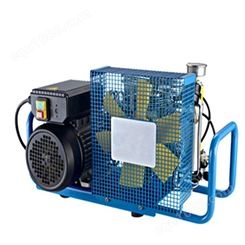 空气呼吸器充气泵消防高压打气设备 潜水氧气充填泵气瓶30mpa
