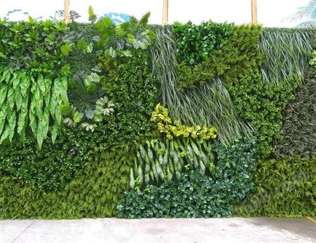 西安室内绿植墙 仿真植物墙制作 室内外绿植 寿命长 有观赏性