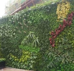 西安仿真植物 绿植墙价格 仿真植物墙价格-金森