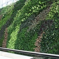 装修仿真绿墙 植物背景墙 金森 立体绿化厂家 服务更贴心