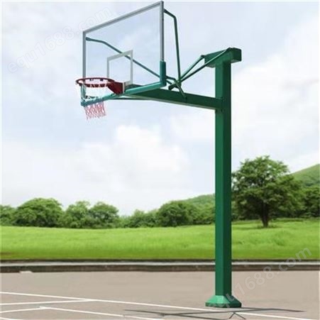 篮球架 户外健身器材 室外标准电动液压篮球架子 浩圆