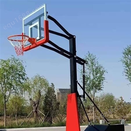 篮球架 户外健身器材 室外标准电动液压篮球架子 浩圆