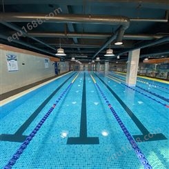 场馆游泳池 训练泳池 造型多样 可按需定制 游力安