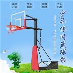 方管液压手动体育器材篮球架 实心钢条 贰林教学免费安装