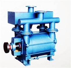 2BEA-202-0水环式真空泵瓦斯泵矿用泵 专业厂家直发可定制