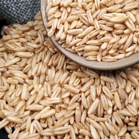 和粮农业 溢田 有机燕麦米东北粗粮燕麦仁燕麦米440g批发