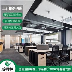 广州荔湾办公室学校商场除甲醛 空气检测服务 斯柯林环保