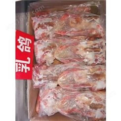 乳鸽20斤装 菜式多样 是一种无污染的生态食品