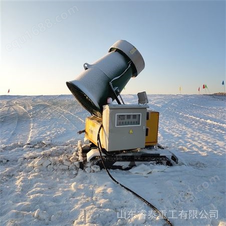 出售大型场地降雪机 炮筒式人工智能飘雪设备 户外游乐城造雪车