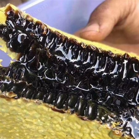 黑蜂蜜高山米团花 蜜蜂巢蜜深山土蜂蜜 500克瓶装