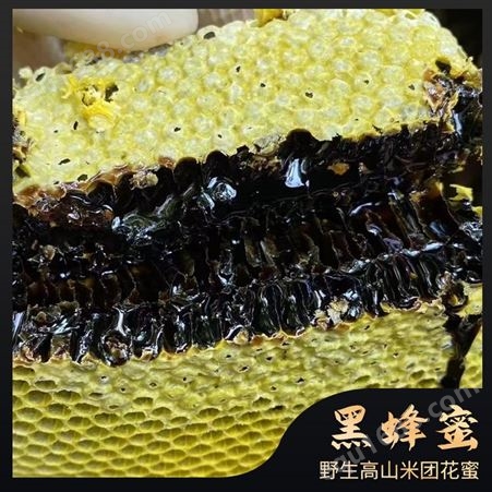黑蜂蜜高山米团花 蜜蜂巢蜜深山土蜂蜜 500克瓶装