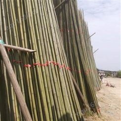 精品淡竹 竹竿 适用于装饰 搭架爬藤竿 插旗杆直度好