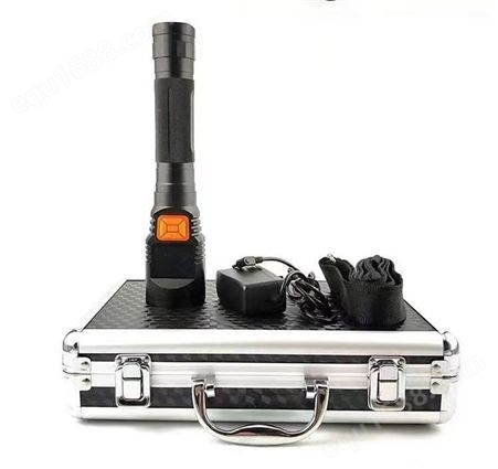 DCW达城威巡检仪/高清摄录手电筒H230/强光录像工作灯