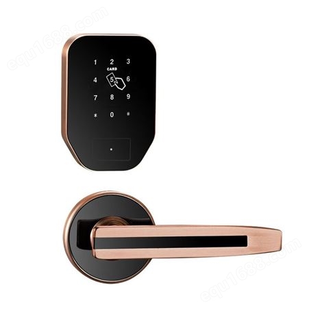 索乐达分体式智能密码锁 防盗门锁 公寓刷卡锁出租房宾馆 酒店锁
