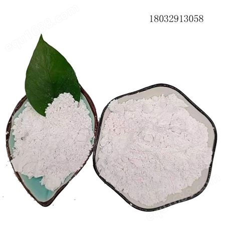 供应白色氧化钙粉 熟石灰粉末设备吸湿用氢氧化钙工业级钙粉