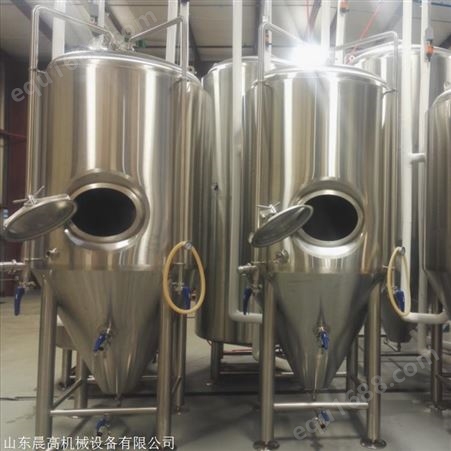 不锈钢精酿啤酒发酵设备