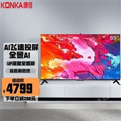 康佳（KONKA） 65英寸4K智慧屏智能彩电投屏液晶电视机全景AI大存