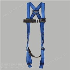 供应羿科AEGLE双背带加双腿带式安全带高空作业双绳安全带