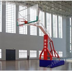 彩色篮球架厂家 北京市 比赛用篮球架 学校篮球架 龙泰体育