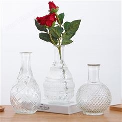 嘉盛玻璃厂生产花瓶 复古创意花瓶 水培花瓶摆件插花器