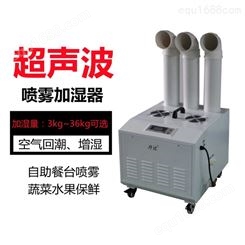 丹比30kg超声波加湿机 管道增湿机 电子厂印刷车间空气加湿器深圳惠州广州