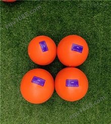 充气实心球  中考专用充气实心球 中考训练用2公斤充气实心球
