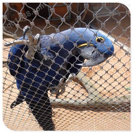 动物园防护网 厂家供应动物园用不锈钢围栏安全隔离护栏防护网