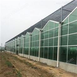 玻璃连栋温室建设 智能连栋大棚 花卉育苗连栋大棚 以利农业